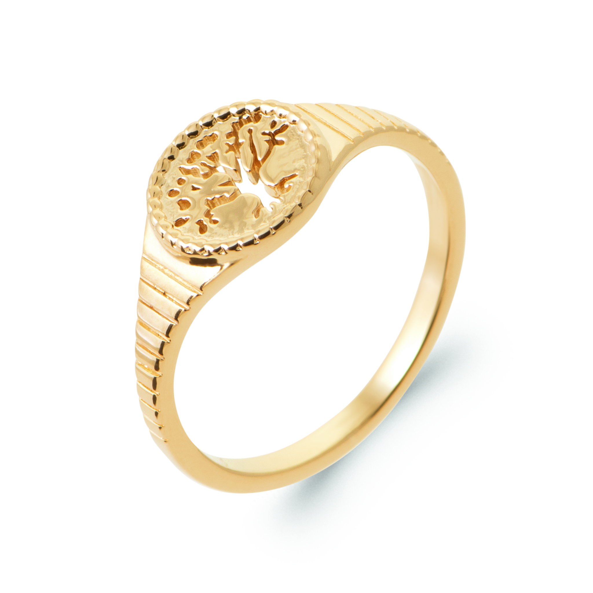 Chevalière Plaqué Or Végétal