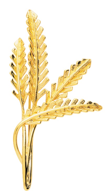 Broche Plaqué Or - Broche